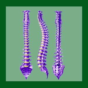 Inversion for Spondylolisthesis